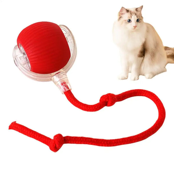 Automatic Rolling Cat Toy Ball for Pets and Dogs