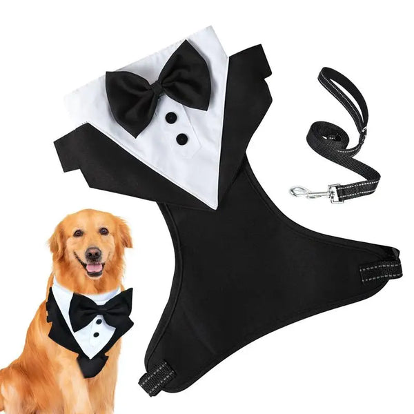 Dog Tuxedo Suit with Bow Tie and Leash